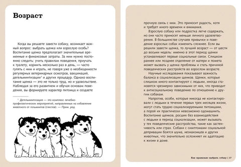 Хвалить! Кормить! Любить! Обаятельное пособие по воспитанию счастливой собаки