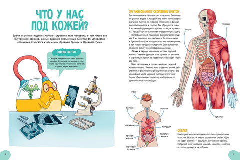 Невероятное тело человека