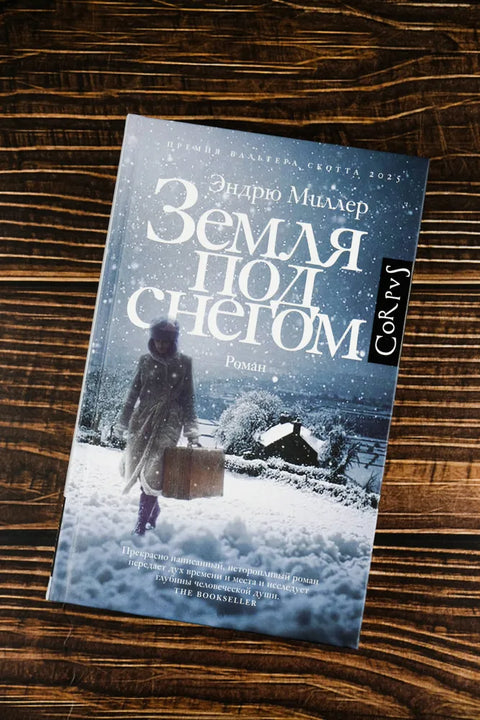 Земля под снегом