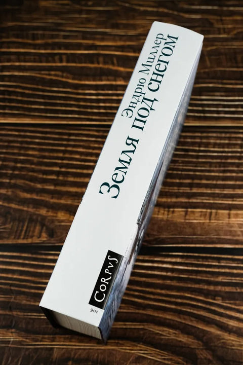 Земля под снегом