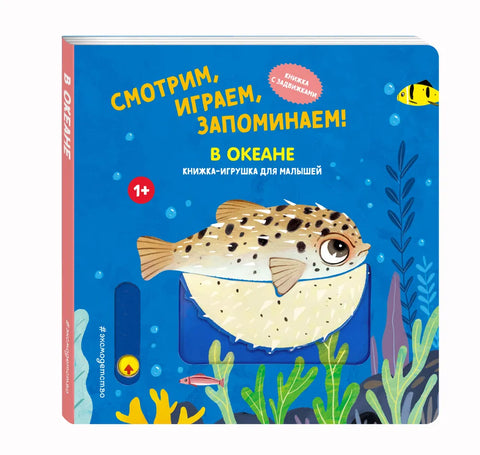 Смотрим, играем, запоминаем! В океане
