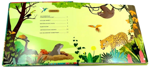 Животные и птицы