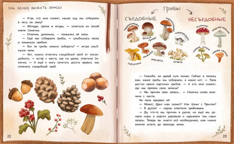 Луна в ореховой скорлупе дп