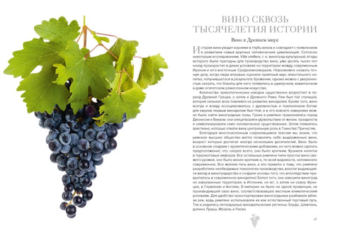 Маленькая книга гурмана. Вино