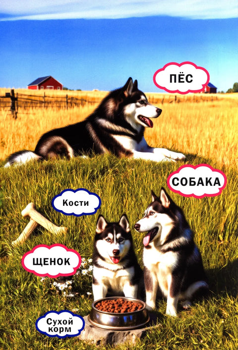 Животные и их детеныши. Книга для малышей