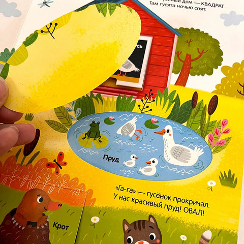 Я учусь: книжка с окошками