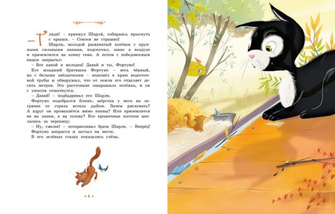 Котёнок, который всего боялся