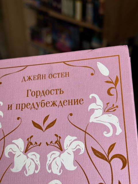 Гордость и предубеждение (брак)