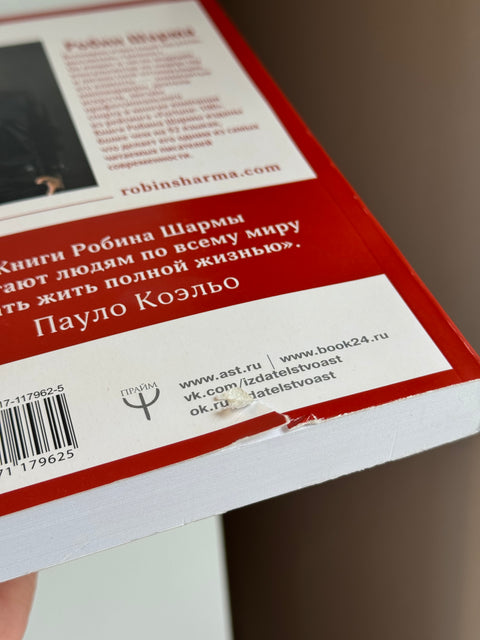 Лидер без титула. Современная притча о настоящем успехе в жизни и в бизнесе (брак)