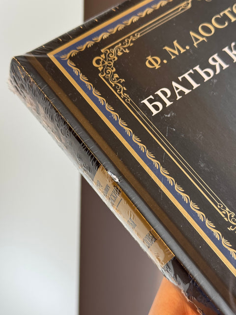 Братья Карамазовы (брак)