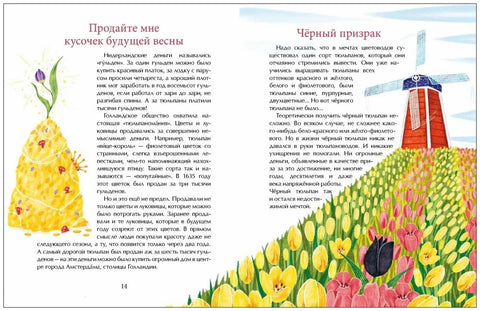 Тюльпан. Цветок султанов и мельников