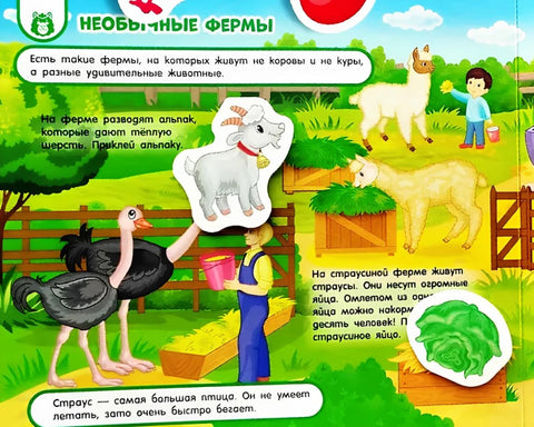 На ферме. Книга с липучками