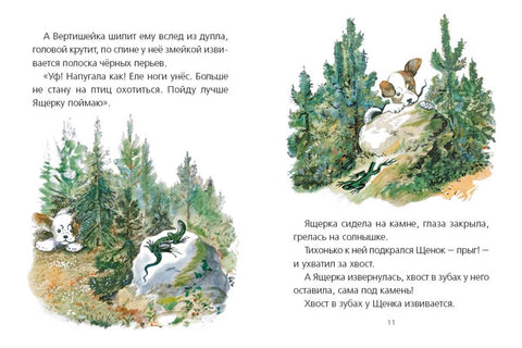 Первая охота, илл. Нецкой Е.