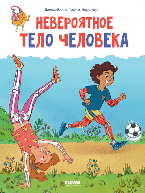 Невероятное тело человека