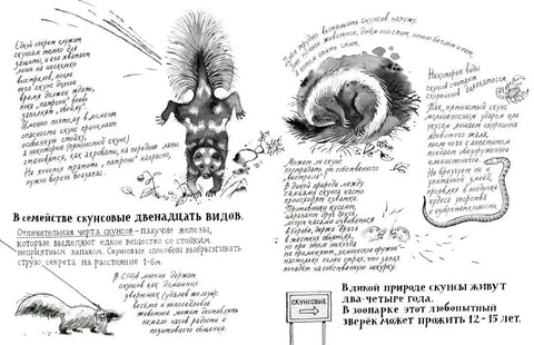Человек из зоопарка