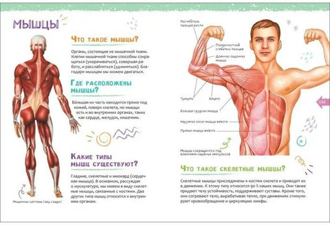 Человек. Новая детская энциклопедия
