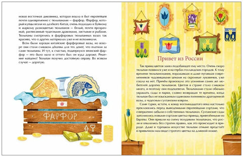 Тюльпан. Цветок султанов и мельников