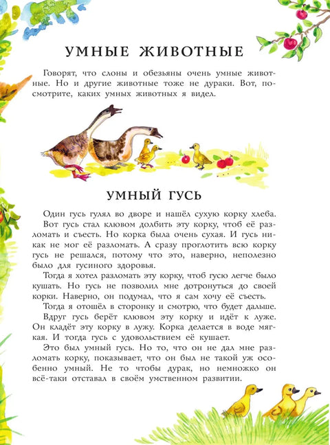 Рассказы для детей