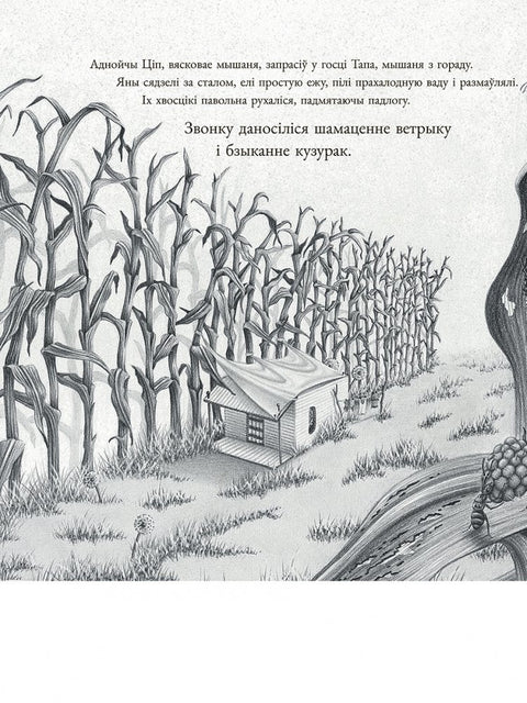 Мышаня Ціп і мышаня Тап