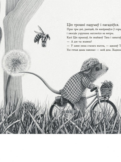 Мышаня Ціп і мышаня Тап