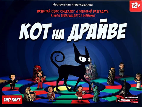 Кот на драйве