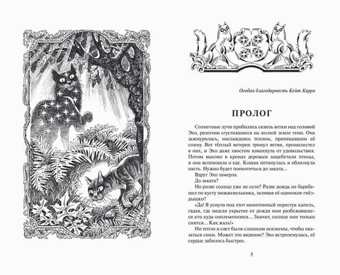 Гроза и тень