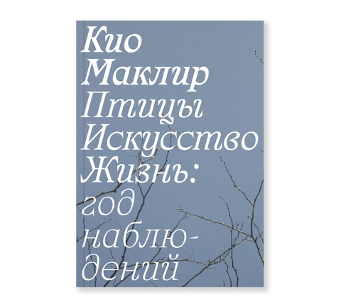 Птицы, искусство, жизнь: год наблюдений