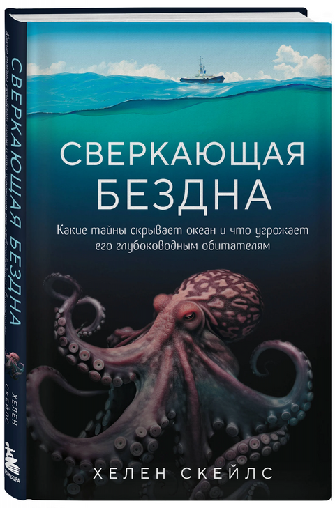 Třpytivá propast: Jaká tajemství skrývá oceán a co ohrožuje jeho hlubokomořské obyvatele