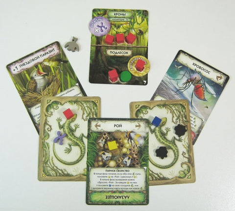 Эволюция. Новый мир: Круговорот