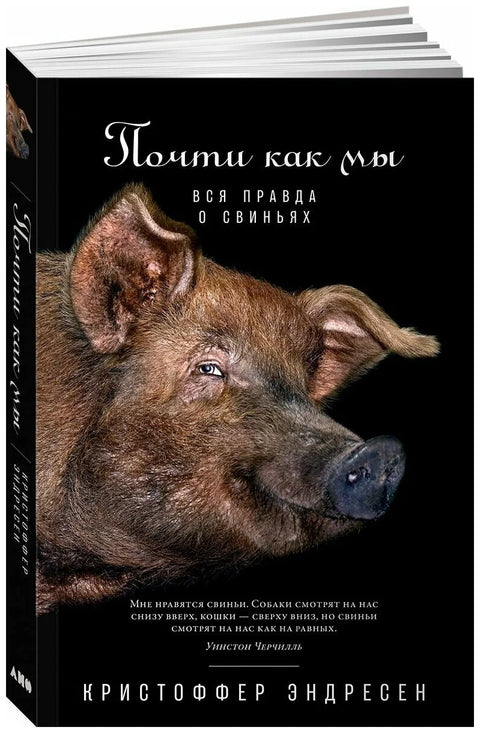 Почти как мы: Вся правда о свиньях