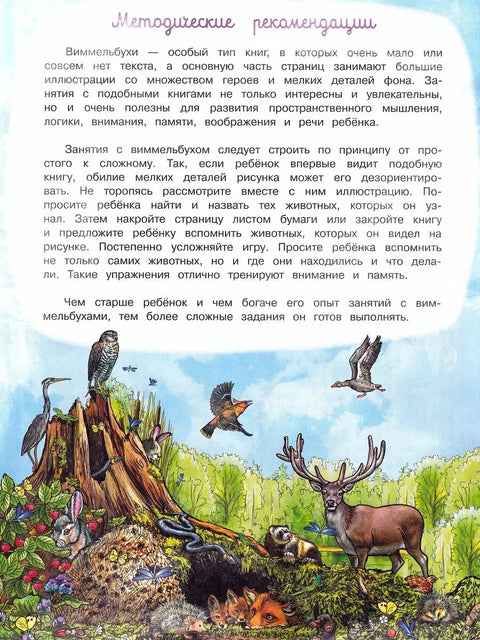 Wimmelbuch „Najděte a ukažte roční období“