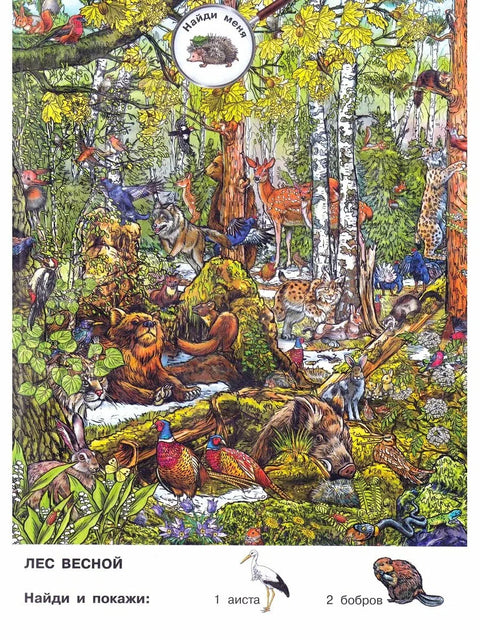 Wimmelbuch „Najděte a ukažte roční období“