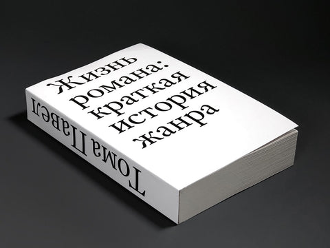 Жизнь романа