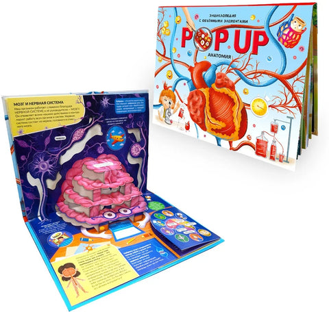Анатомия: книжка-панорамка