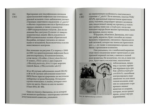Обширная территория