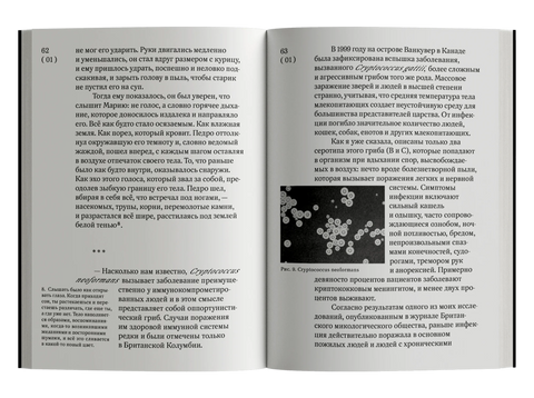 Обширная территория