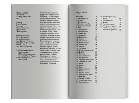 Лето с Монтенем