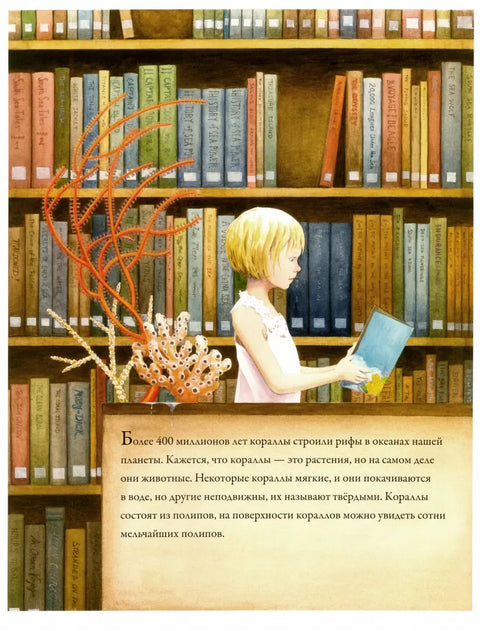 Коралловые рифы