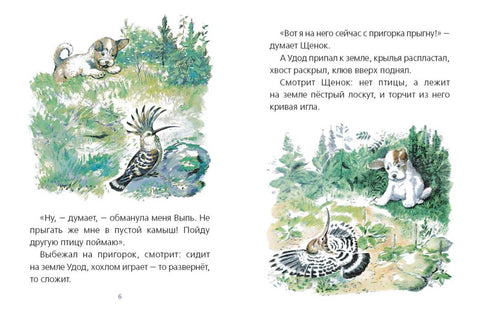 Первая охота, илл. Нецкой Е.